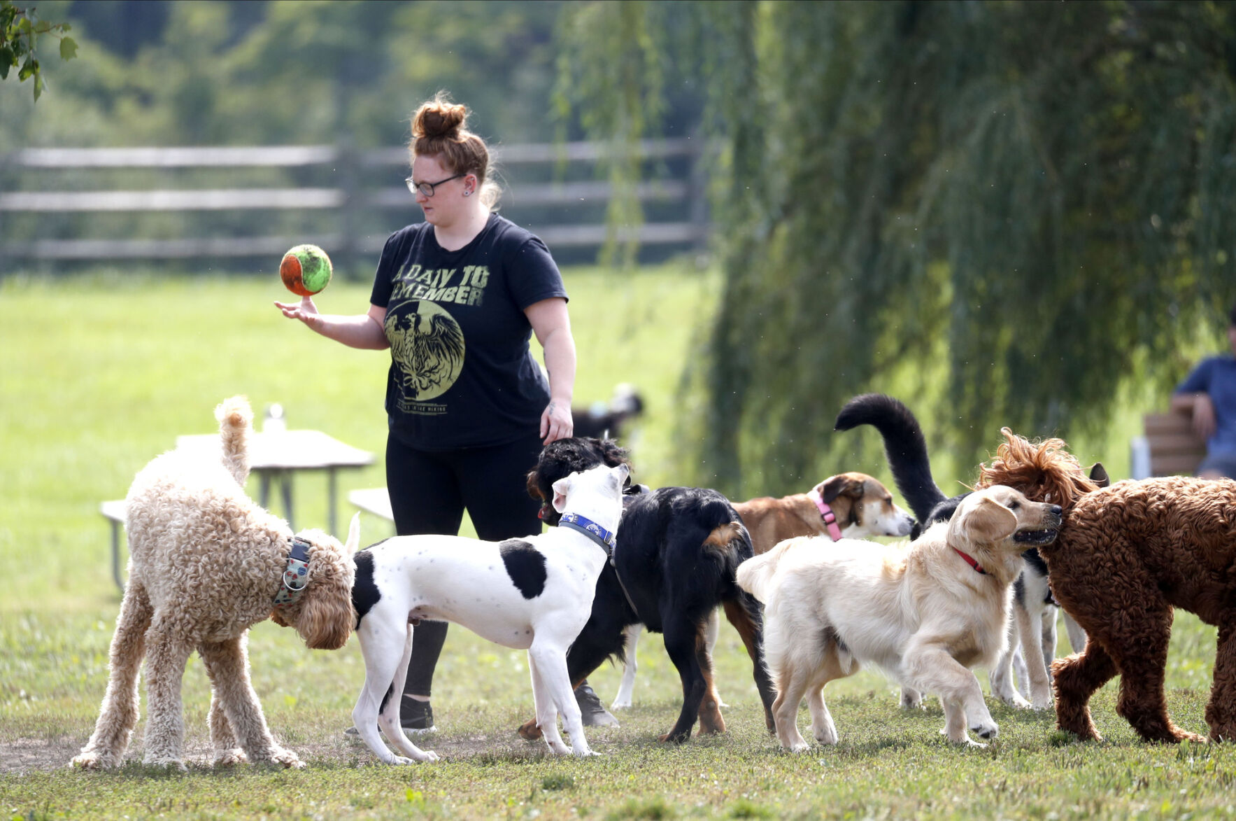 Leader of the pack